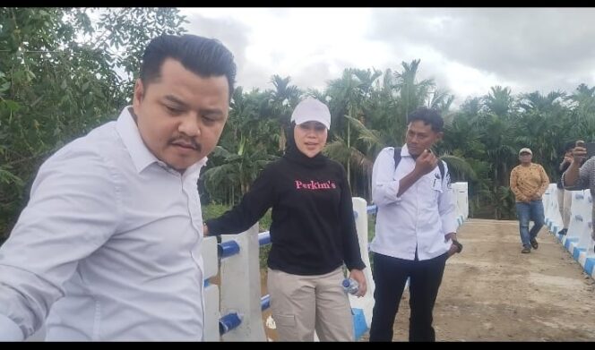 
					Kadis Perkim Tinjau Jembatan Parit Anang