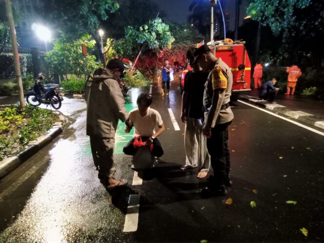 
					Pohon Besar Tumbang di Jalan Kebon Sirih, Akses Lalu Lintas Sempat Tertutup