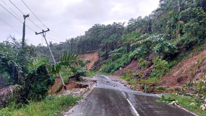 
					Hujan Deras Picu Longsor dan Banjir di Palembayan, Polri Sigap Evakuasi Warga