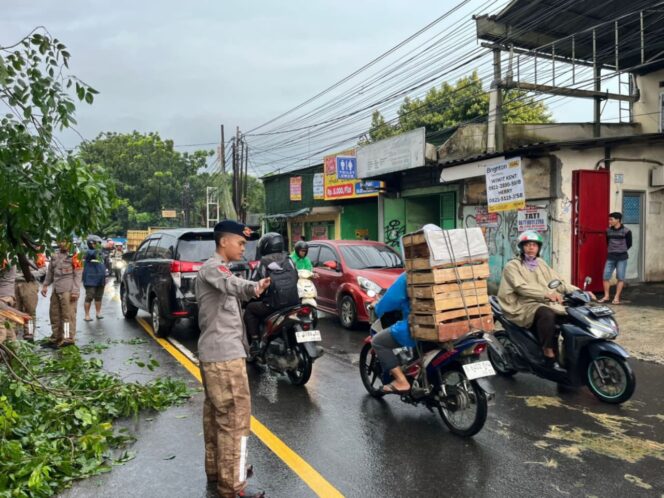 
					Sigap Brimob Metro Jaya Tangani Pohon Tumbang di Ciputat