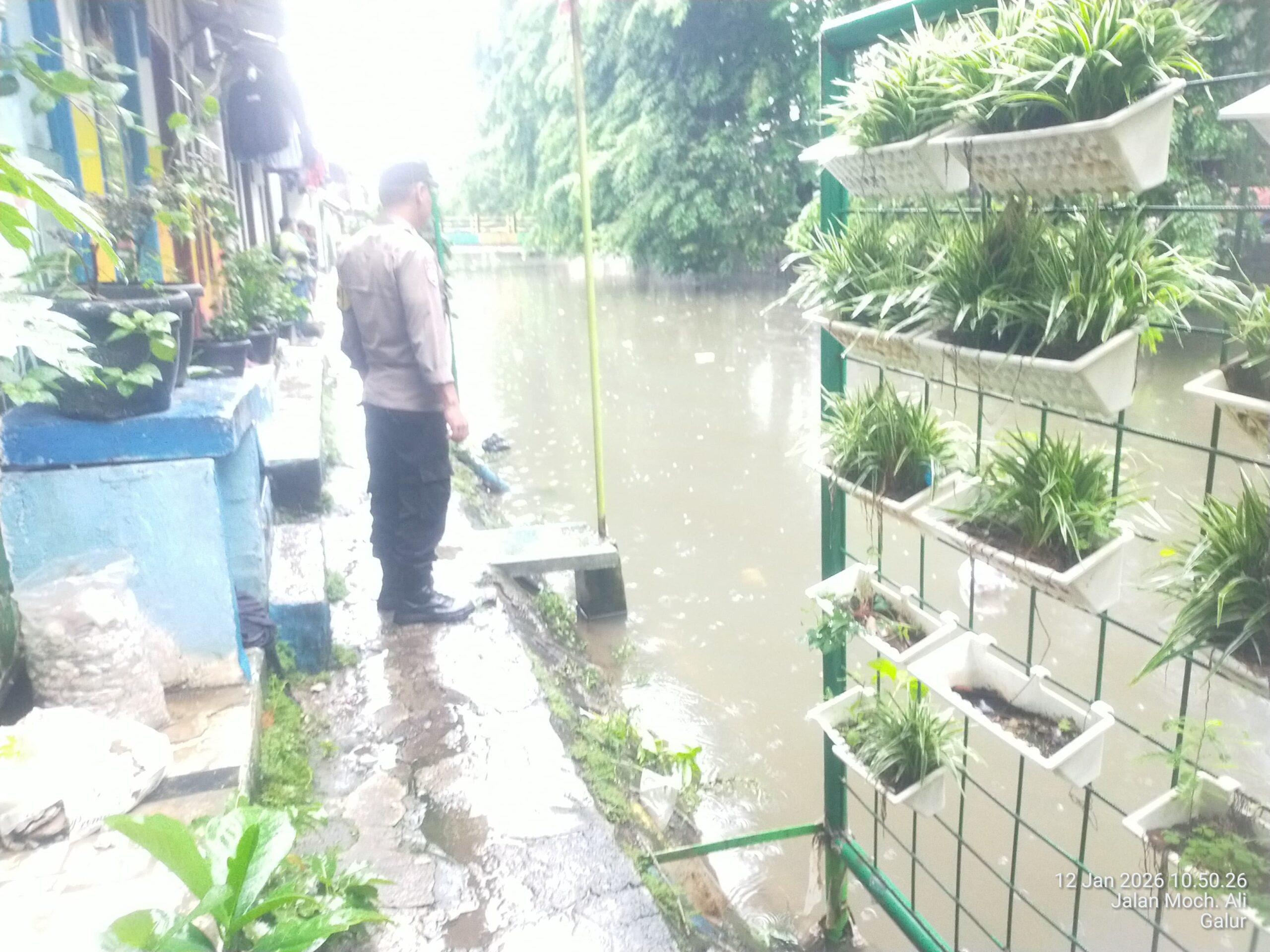 Antisipasi Dampak Hujan, Polisi Cek Genangan Air di Kelurahan Galur