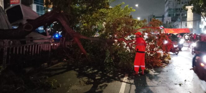 
					Gerak Cepat Polri, Tangani Kecelakaan Dan Pohon Tumbang Jalan Kembali Lancar