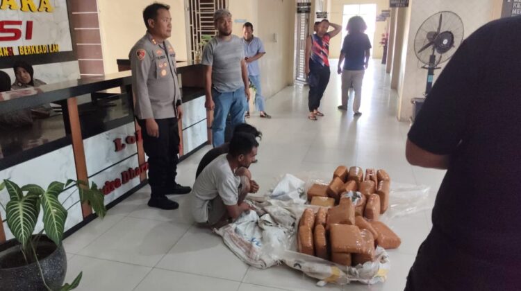 Ditengah pemulihan pasca banjir, Polres Aceh Tenggara berhasil Gagalkan Peredaran 50,7 Kg Ganja