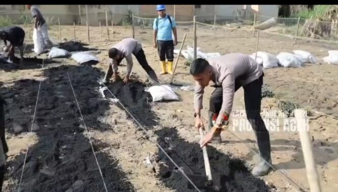 
					Taruna Akpol Pulihkan Ketahanan Pangan dan UMKM Warga Aceh Tamiang Lewat Pekarangan Pangan Lestari