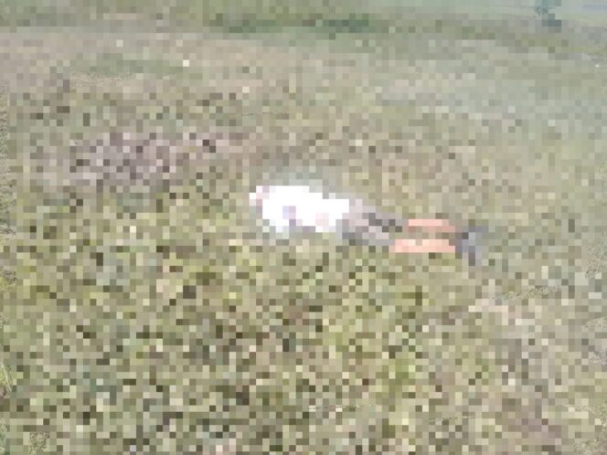 
					Duka di Korowai: Pesawat Perintis Ditembaki Usai Parkir, Dua Awak Jadi Korban