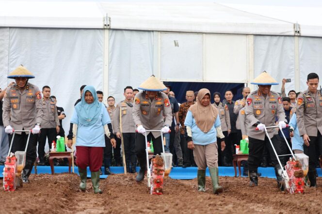 
					Sukses Pada Penanaman Jagung Tahun 2025, Polda Metro Jaya Menambah Jumlah Lahan Menjadi 50 Hektar pada Tanam Raya Jagung Serentak Kuartal I di Bekasi Tahun Ini