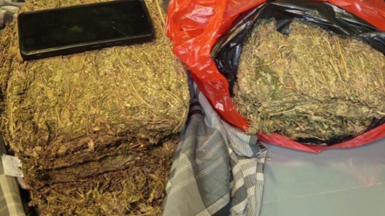 POLDA METRO JAYA MENGGAGALKAN PEREDARAN 3,4 KG GANJA DI WILAYAH DEPOK