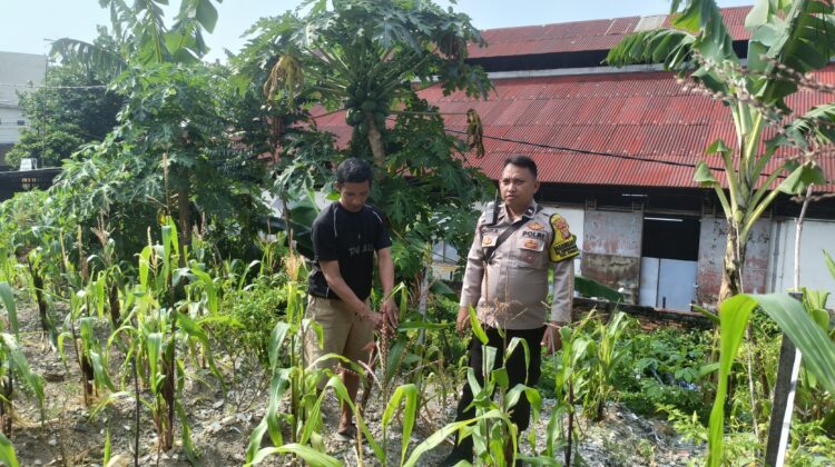 Bhabinkamtibmas Gunung Sahari Utara Dukung Ketahanan Pangan Warga Lewat Pemeliharaan Dan Pengecekan Lahan