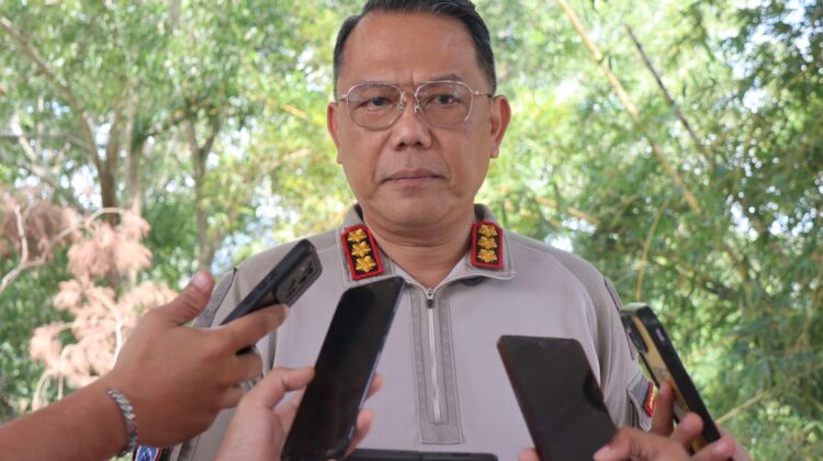 Sempat Melawan Petugas, Satu Anggota KKB Puncak Jaya Berhasil Dilumpuhkan Satgas Ops Damai Cartenz