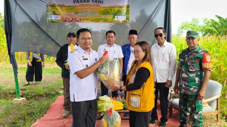 Koramil Sepatan dan BUMDes Panen Bawang Merah, Perkuat Ketahanan Pangan Desa