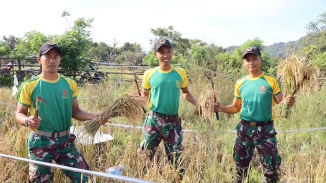 
					Yonarmed 12 Kostrad Perkuat Kemanunggalan TNI-Rakyat dengan Bantu Petani di Perbatasan