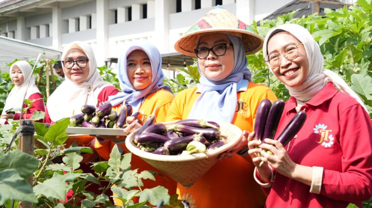 Munjirin Apresiasi Kelompok Tani Geber Tabur, Panen Melon Kedua Tembus Kualitas Premium
