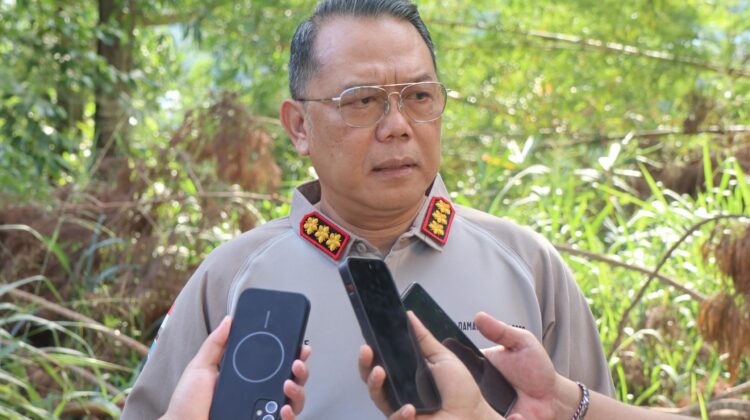 Hendak Kabur Saat Ditangkap, Satu Anggota KKB Berhasil Dilumpuhkan Satgas Ops Damai Cartenz di Timika