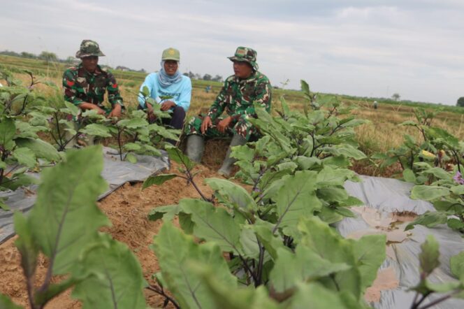 
					Komsos di Lahan Pertanian, Hangatnya Kebersamaan Satgas TMMD dan Petani di Desa Godo