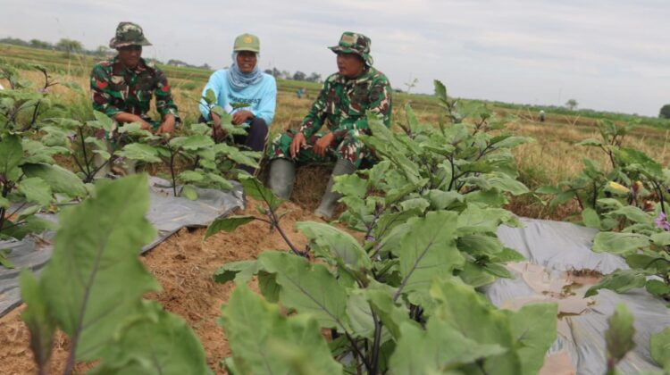 Komsos di Lahan Pertanian, Hangatnya Kebersamaan Satgas TMMD dan Petani di Desa Godo
