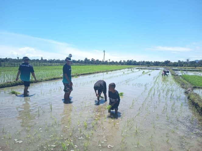 
					Wujudkan Ketahanan Pangan, Satgas Pamtas Yonarhanud 2 Kostrad Turun ke Sawah Bantu Warga Tanam Padi