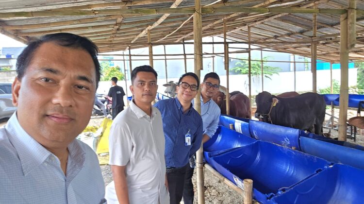 BRI KC Balaraja Salurkan Pembiayaan kepada Pengusaha Ternak Jelang Iduladha