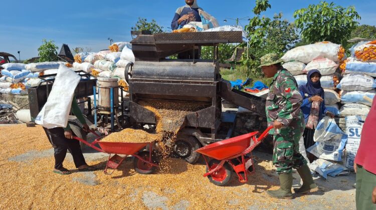 Satgas TMMD Bantu Penggilingan Jagung, Wujud Nyata Kepedulian di Desa Godo