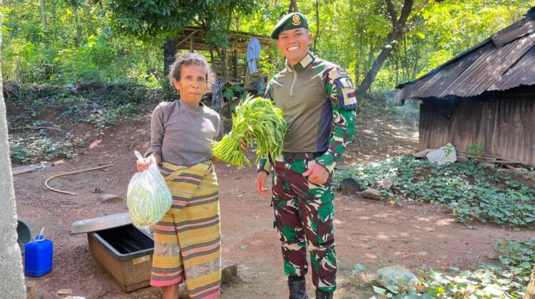 Lahan Bersemi Rakyatpun Menikmati, Satgas Pamtas Yonarhanud 2 Kostrad Bagikan Sayur Segar di Desa Napan  ‎