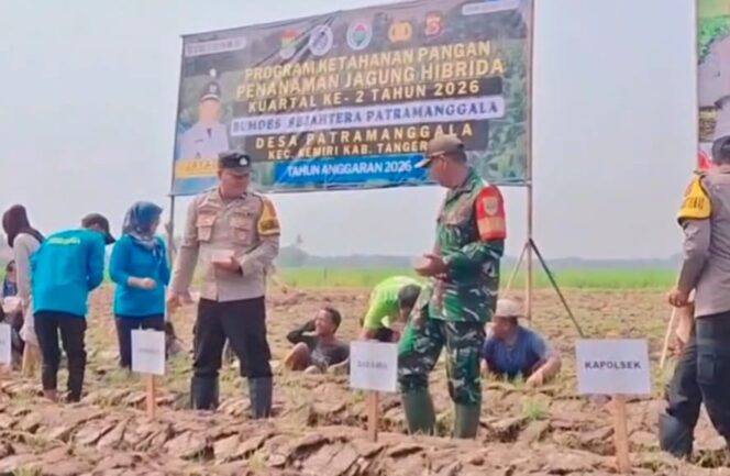 
					Sinergi Babinsa dan BUMDes Tanam Jagung Hibrida