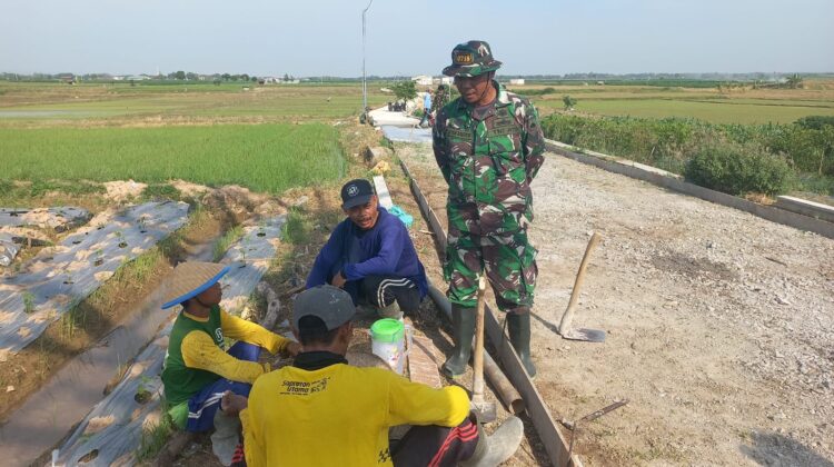 Komsos di Tengah Pengecoran, Serka Iskandar Dengarkan Harapan Petani Desa Godo