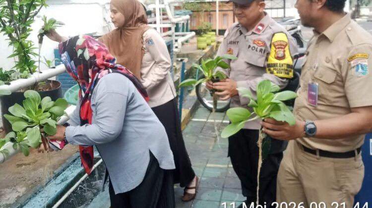 Panen Pokcoy 15 Kg di Pegangsaan, Sinergi Polri dan Warga Perkuat Ketahanan Pangan