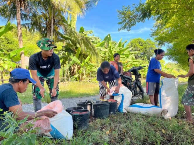 
					Wujud Nyata TNI Bersama Rakyat, Satgas Pamtas Yonarhanud 2 Kostrad Bantu Warga Pemupukan Sawah