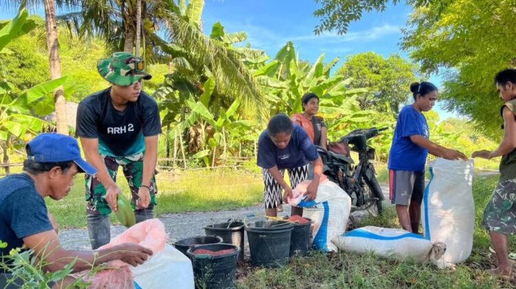 Wujud Nyata TNI Bersama Rakyat, Satgas Pamtas Yonarhanud 2 Kostrad Bantu Warga Pemupukan Sawah