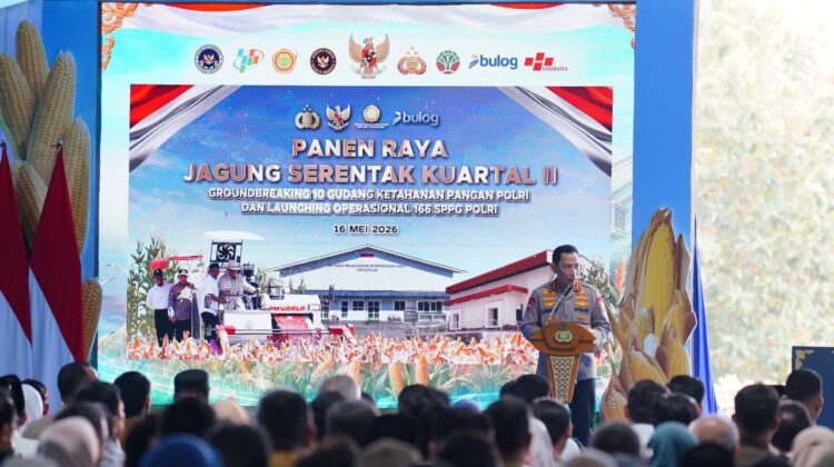 Presiden Prabowo dan Kapolri Panen Raya Jagung Nasional di Tuban Perkuat Ketahanan Pangan