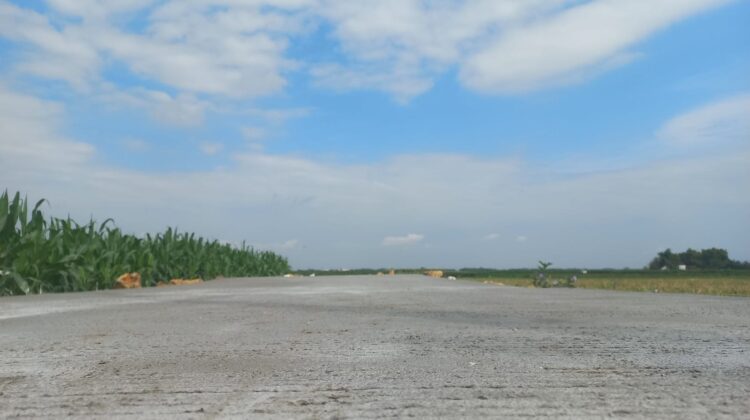 Betonisasi Jalan Desa Godo Rampung 100 Persen, Harapan Baru bagi Petani dan Warga