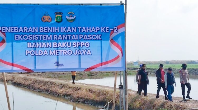 Ditpolairud Polda Metro Jaya Tebar 300 Ribu Benih Udang Windu di Muaragembong Bekasi