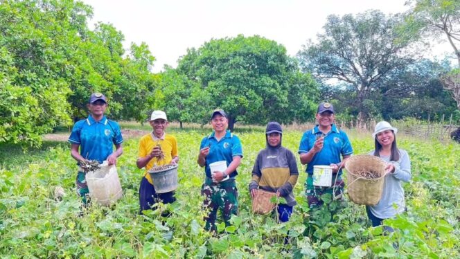 
					Yonarmed 12 Kostrad Panen Kacang Hijau Bersama Warga, Perkuat Ketahanan Pangan di Perbatasan