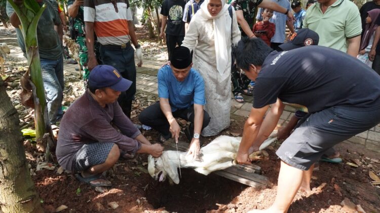 Kodim 0502/JU Salurkan dan Potong Hewan Kurban untuk Warga Jakarta Utara