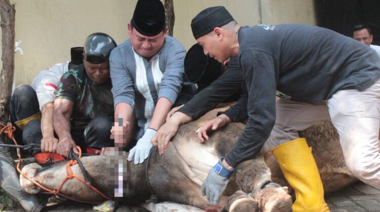 Polsek Kemayoran Tebar Manfaat Kurban untuk Warga dan Anggota