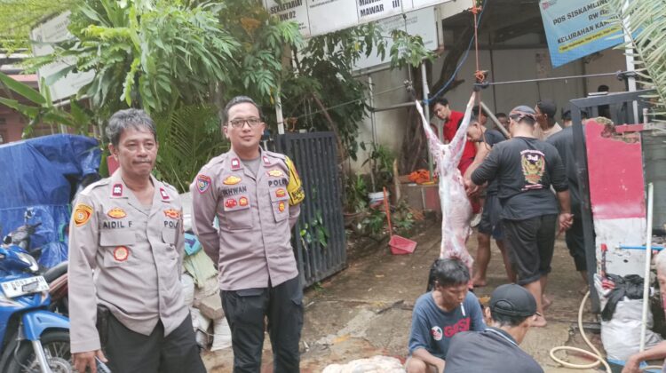 Semangat Idul Adha Pererat Kebersamaan, Polisi Hadir Kawal Pemotongan Hewan Kurban di Kampung Rawa