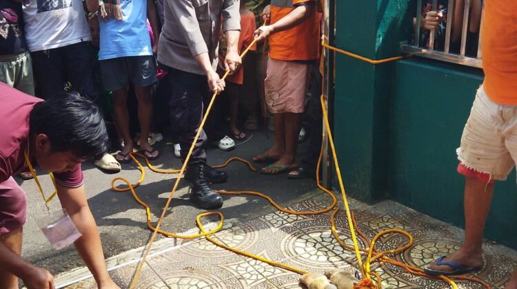 Polisi, FKDM, dan Warga Bersinergi Kawal Pemotongan Hewan Qurban di Jantung Permukiman Galur