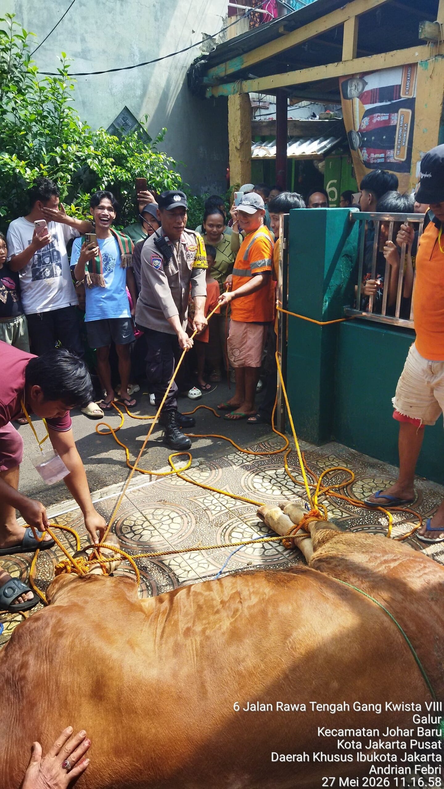 Polisi, FKDM, dan Warga Bersinergi Kawal Pemotongan Hewan Qurban di Jantung Permukiman Galur