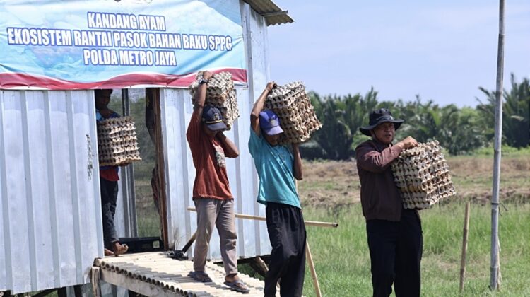 Panen 3.000 Telur di Bekasi, Polda Metro Jaya Salurkan ke SPPG