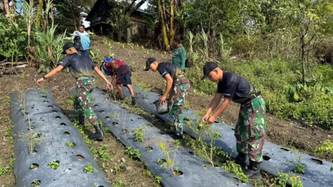 
					Semangat Ketahanan Pangan, Yonarmed 12 Kostrad Sukseskan Panen Lombok di Perbatasan RI-RDTL