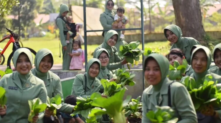 Danyonarmed 1 Kostrad Panen Sawi, Wujud Nyata Ketahanan Pangan Satuan