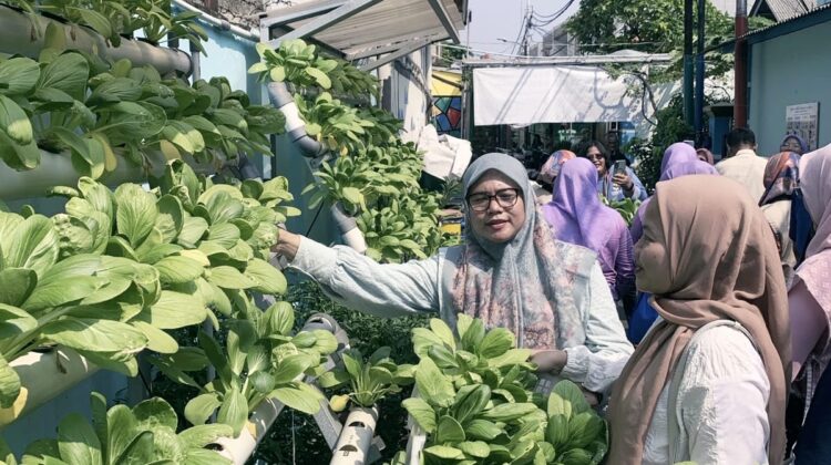 Bhabinkamtibmas Kelurahan Kemayoran Dukung Panen Hidroponik, Polri Perkuat Ketahanan Pangan dan Kepedulian bagi Balita Stunting
