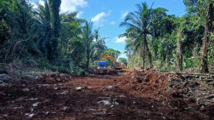 Pembukaan Jalan Penghubung Kepulauan Umbele Hampir Rampung Berkat Sinergitas Satgas TMMD dan Masyarakat