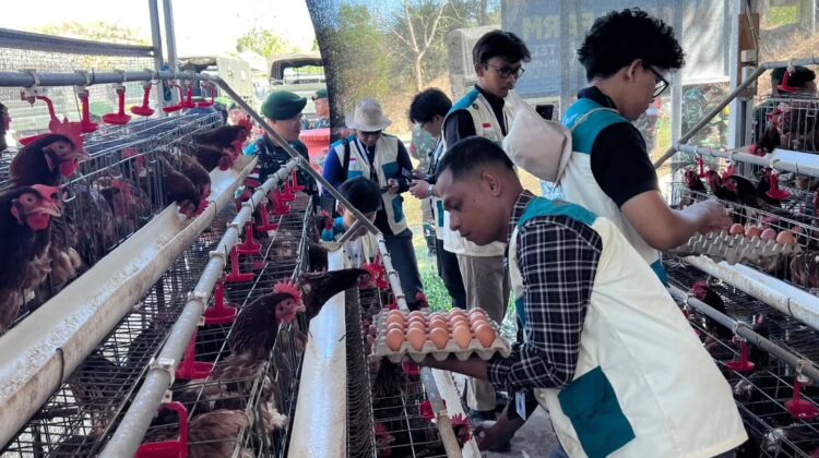 Sinergi TNI dan Universitas Brawijaya Dukung Pemberdayaan Masyarakat Perbatasan Belu