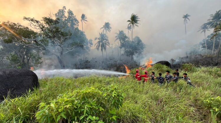 Lanal Ranai Bersinergi Padamkan Kebakaran Lahan Gambut ± 30 Hektar di Cemaga Tengah
