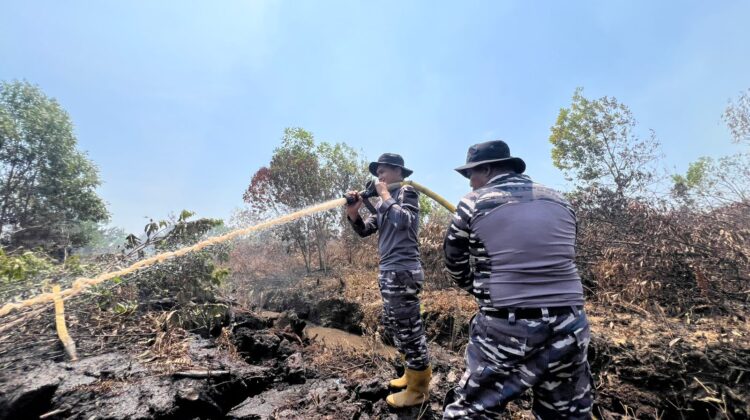 Dankodaeral XIII Tinjau Langsung Lokasi Karhutla di Kabupaten Banjar