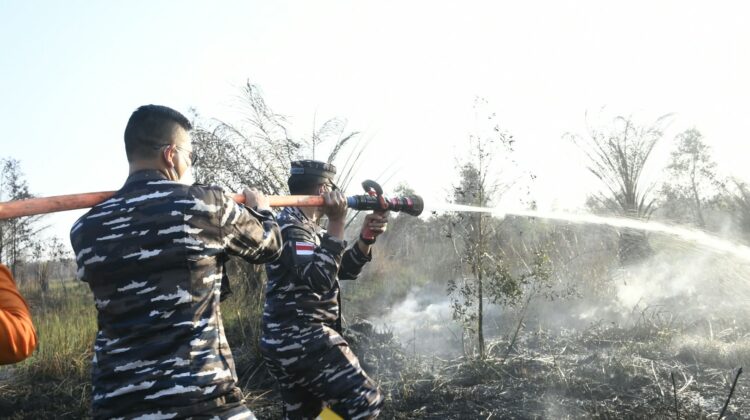 Lawan Karhutla, Danlanal Banjarmasin Bersama Forkopimda Kalsel Turun Langsung ke Hutan Lindung Kurnia