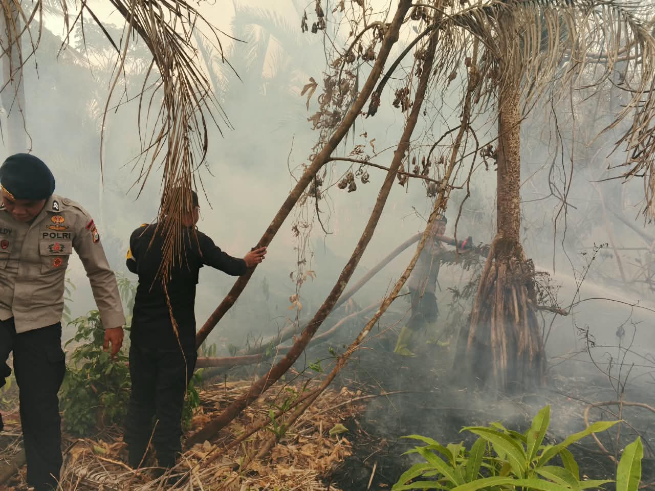 Brimob Malut Respons Cepat, Bersinergi Padamkan Kebakaran Lahan di Desa Tewil