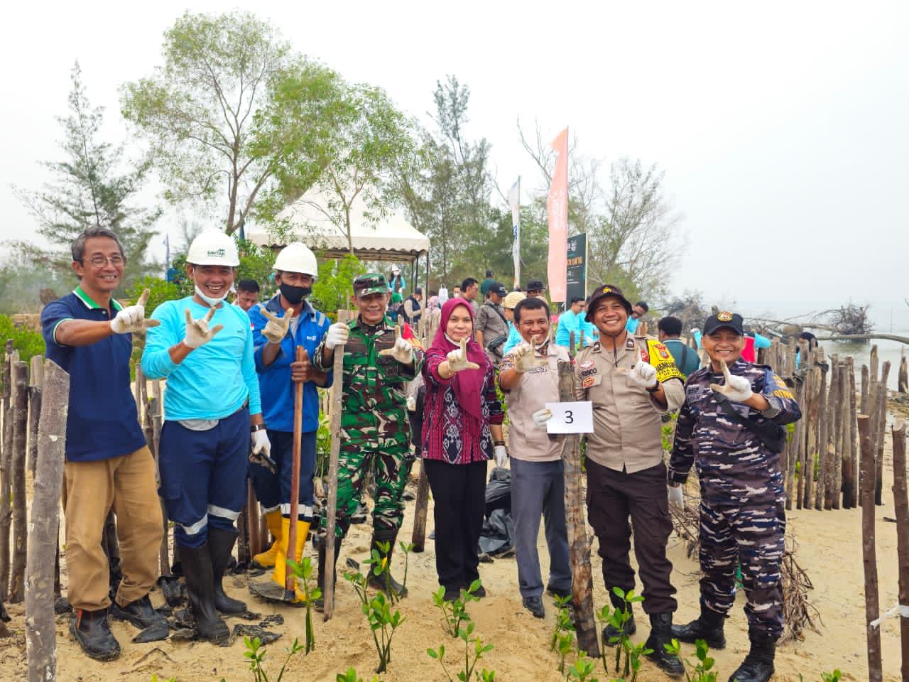 Posbinter Lobam Bersinergi Dengan PT. BIIE Tanam Mangrove, Wujud Kepedulian Terhadap Kelestarian Ekosistem Pesisir Bintan