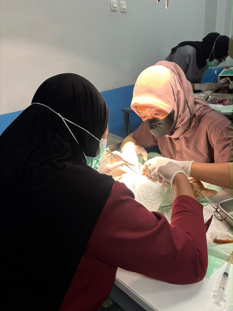 Polri Sterilisasi Puluhan Kucing, Dukung Pengendalian Populasi Hewan secara Bertanggung Jawab